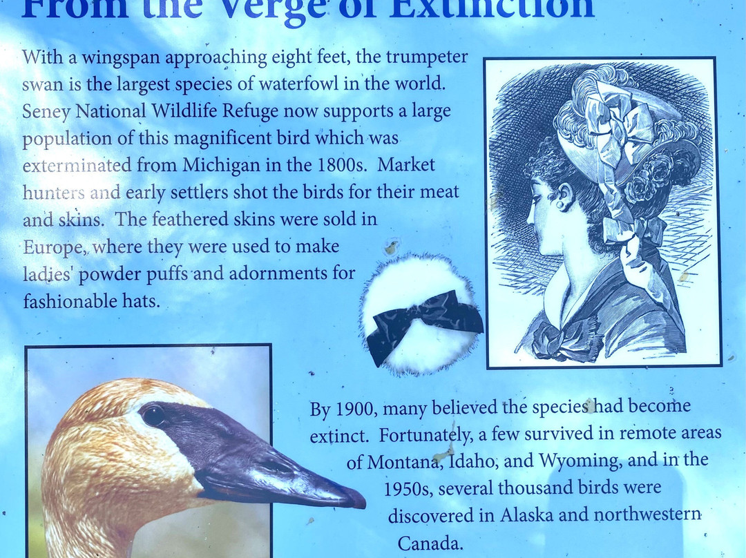 Seney National Wildlife Refuge-Seney必去景点