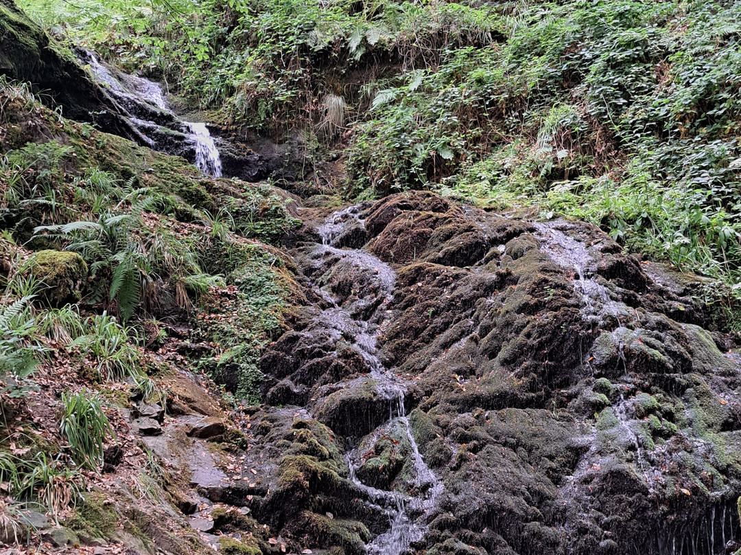 Himmelssteig-Bad Peterstal-Griesbach必去景点