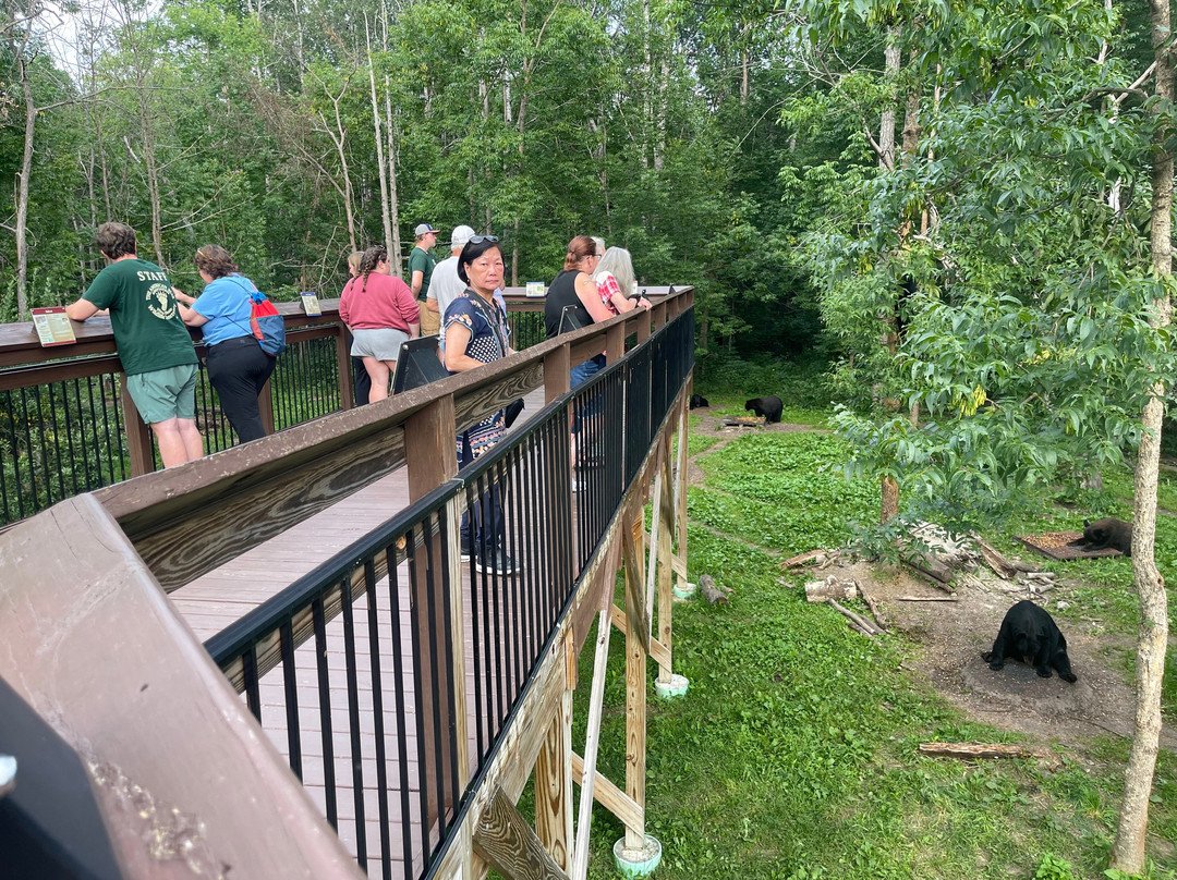 Vince Shute Wildlife Sanctuary-Orr必去景点