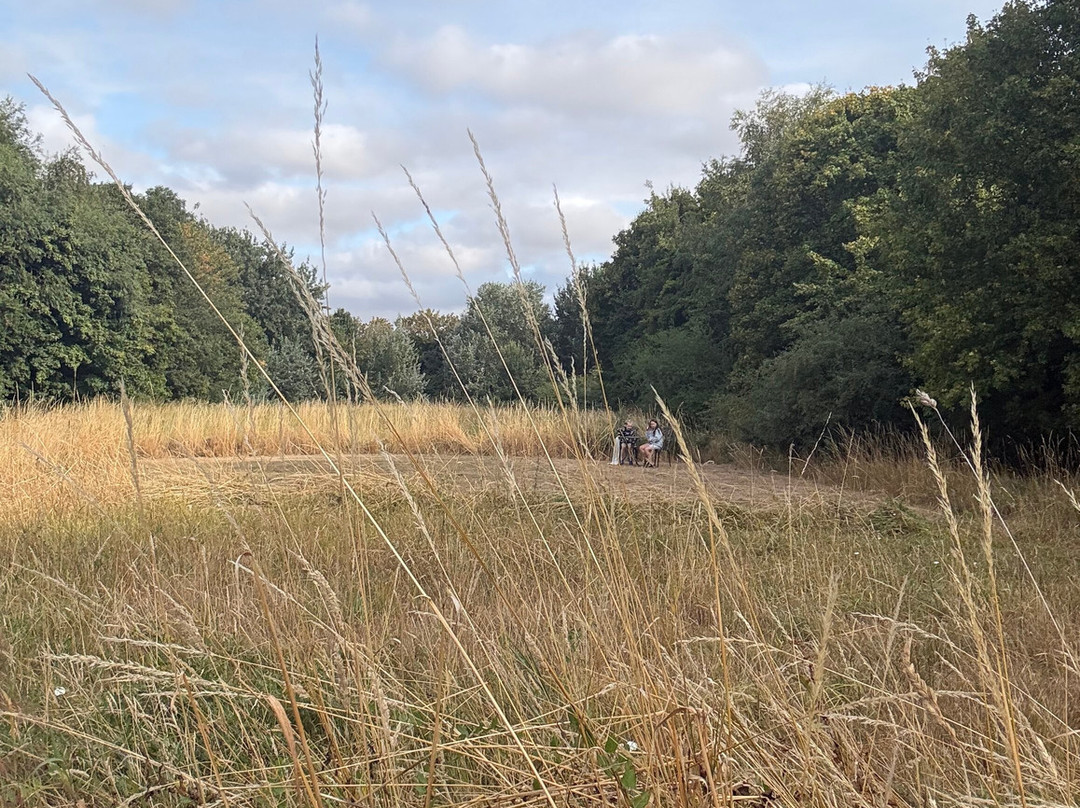 Manor Farm Woodland Walks-Wisbech必去景点