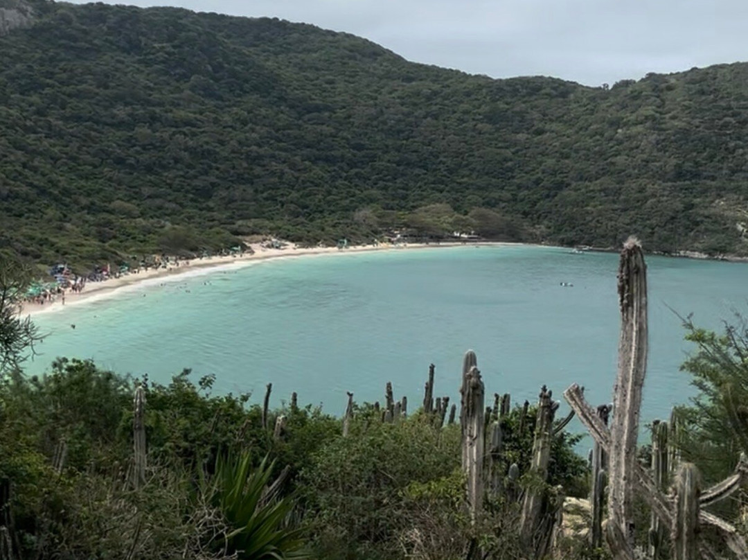 Forno Beach-阿拉伊阿尔港必去景点