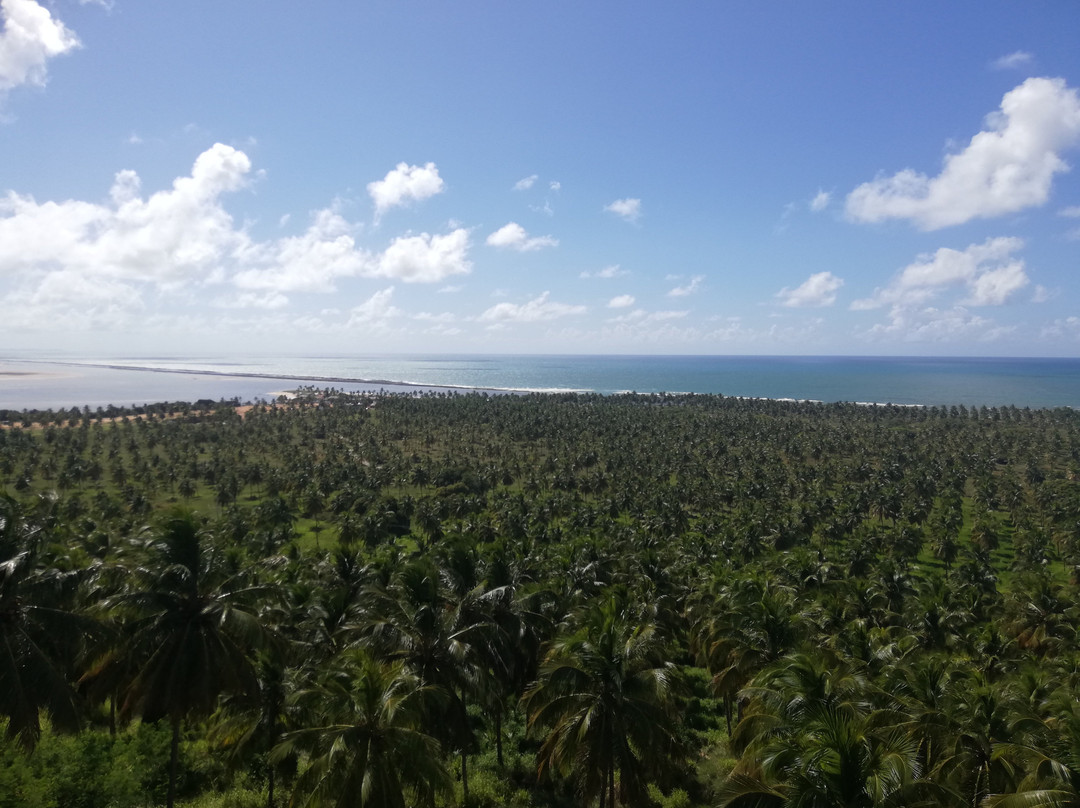 Mirante do Gunga-Roteiro必去景点