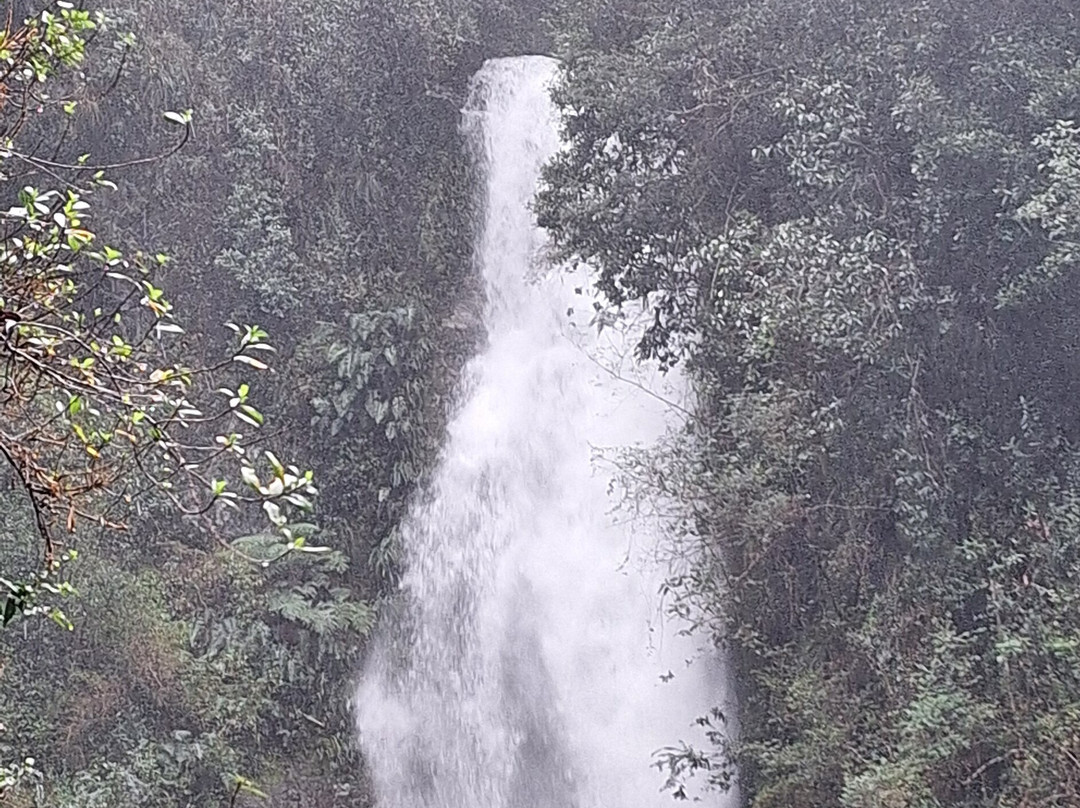 Cascada Cerrillos-Futrono必去景点