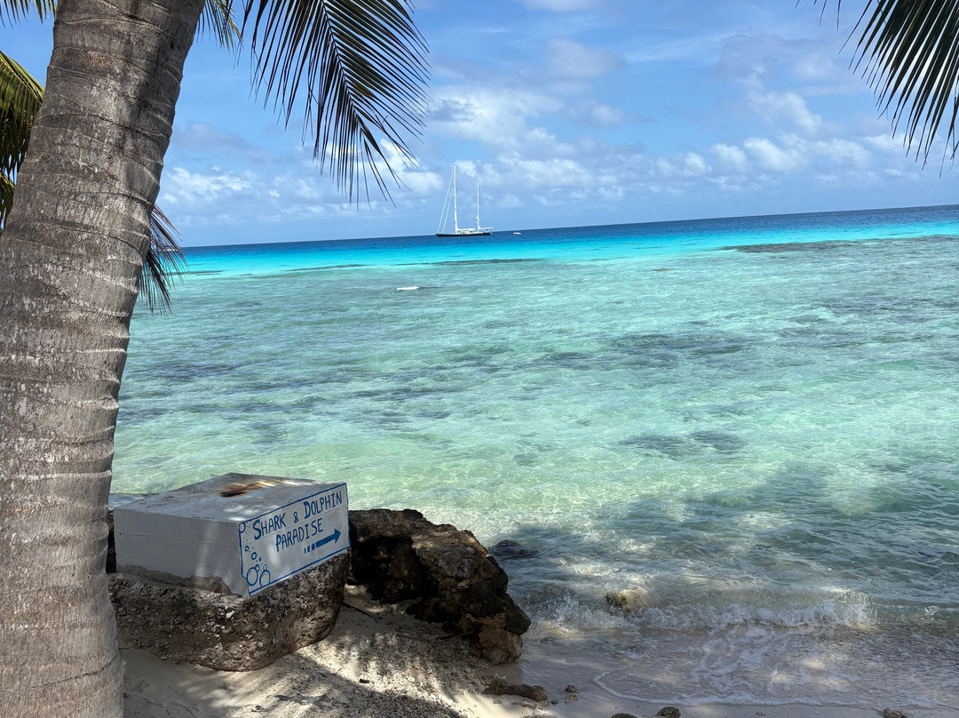 TOPDIVE Rangiroa-阿瓦托鲁必去景点
