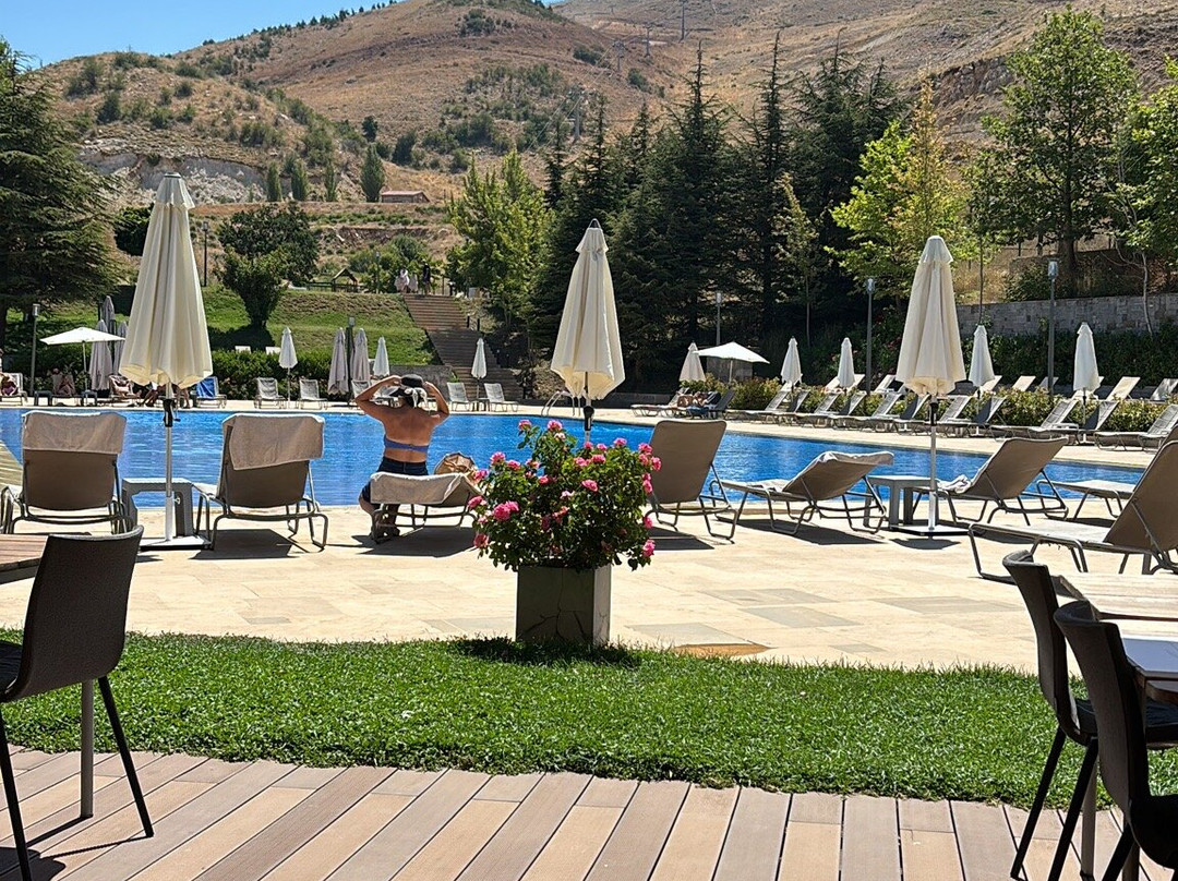 Le Grand Chalet Zaarour主图