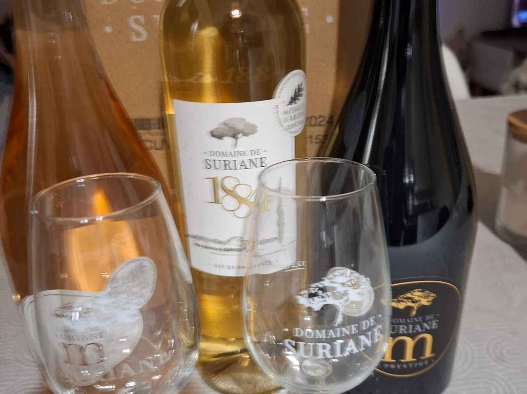 Domaine De Suriane-St Chamas必去景点