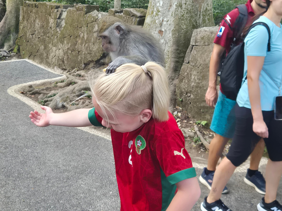 Sangeh Monkey Forest-Sangeh必去景点