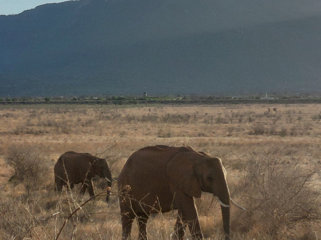Taita Hills Wildlife Sanctuary-西察沃国家公园必去景点