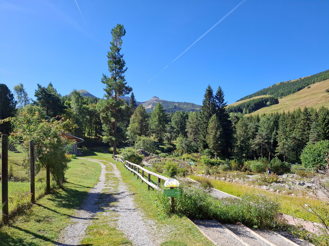 Giardino Botanico Alpino Viote di Monte Bondone-特伦托必去景点