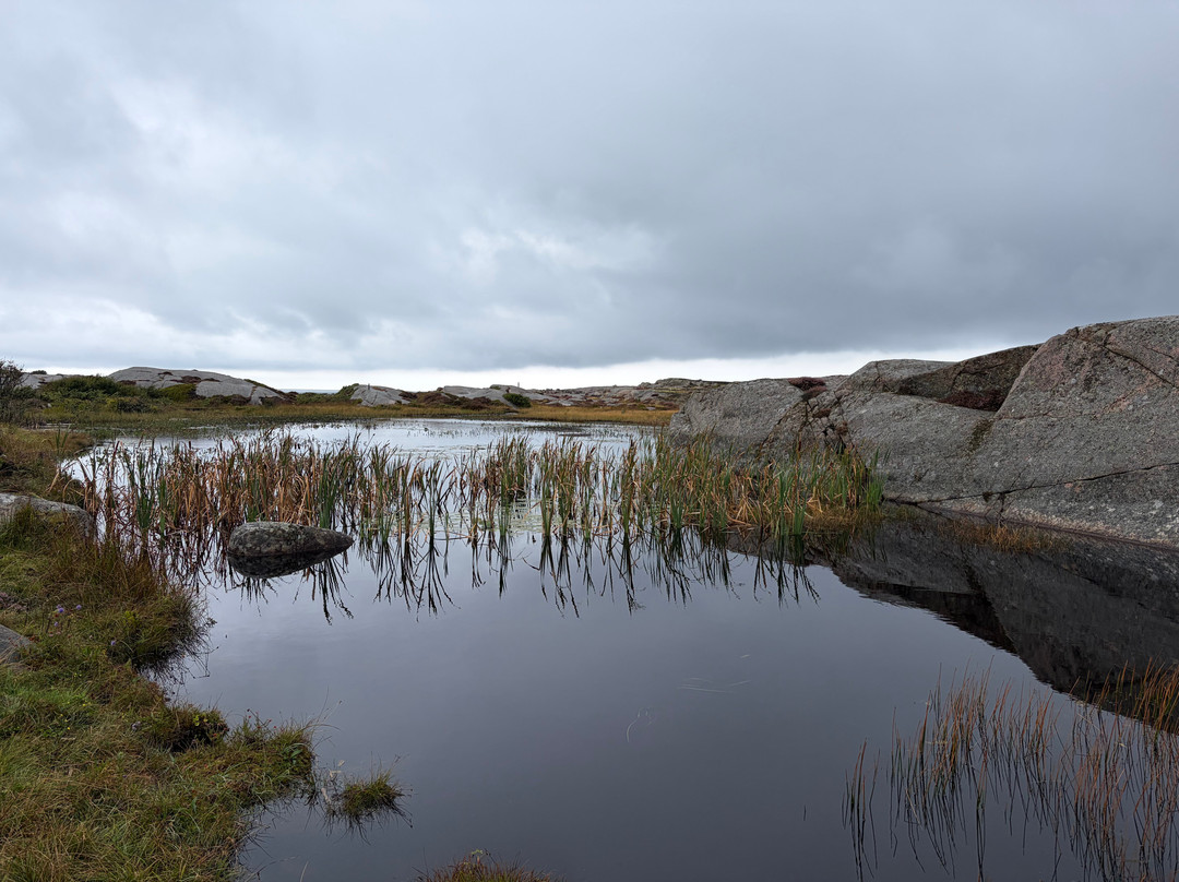 Ramsvikslandet-Hunnebostrand必去景点