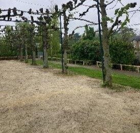 Jellicoe Water Gardens