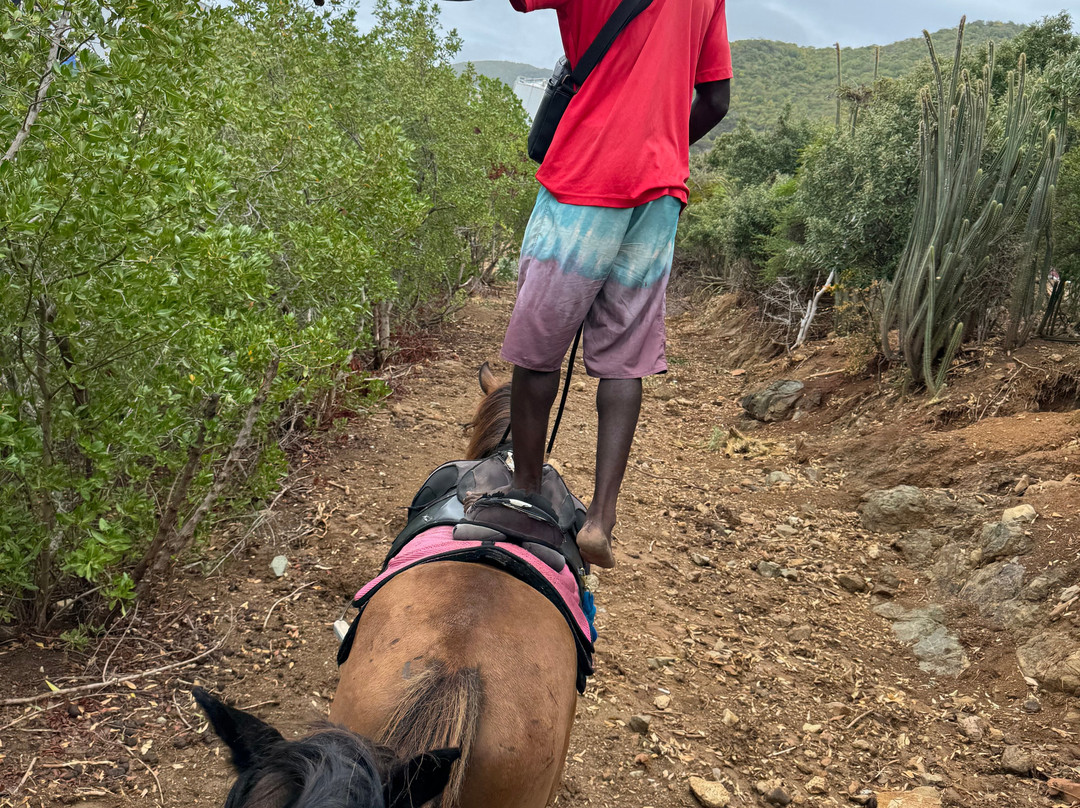 Seaside Ranch St.Maarten-Sint Maarten必去景点