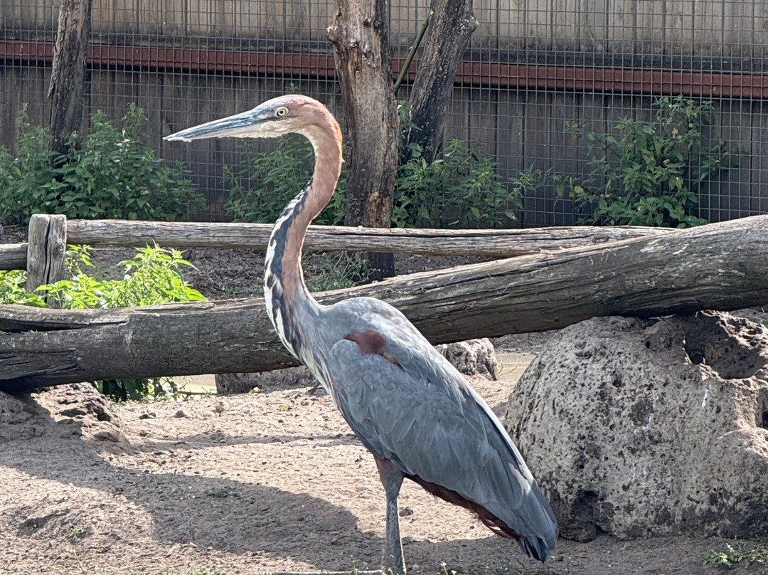 Zoo Bassin d'Arcachon-拉泰斯特德比克必去景点
