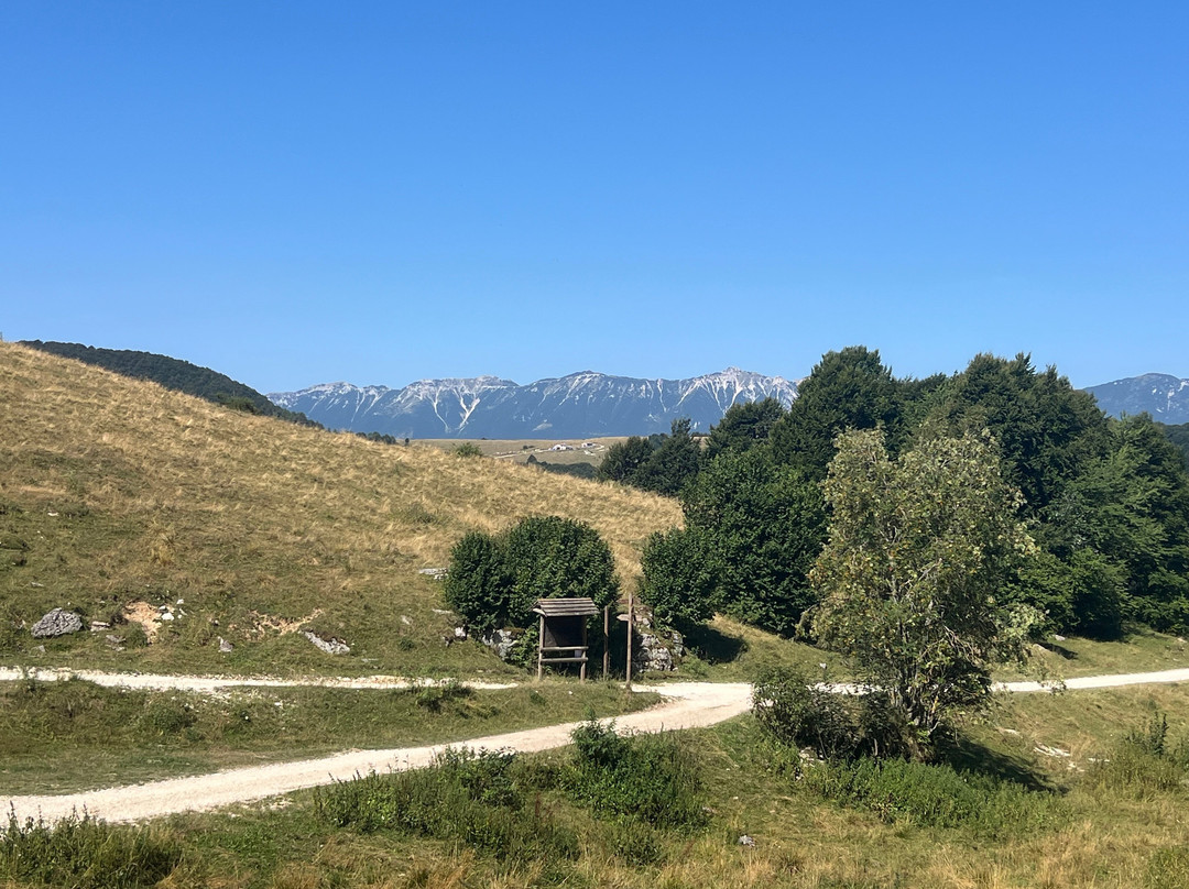 Belluno Veronese酒店住宿-Locanda Alpina