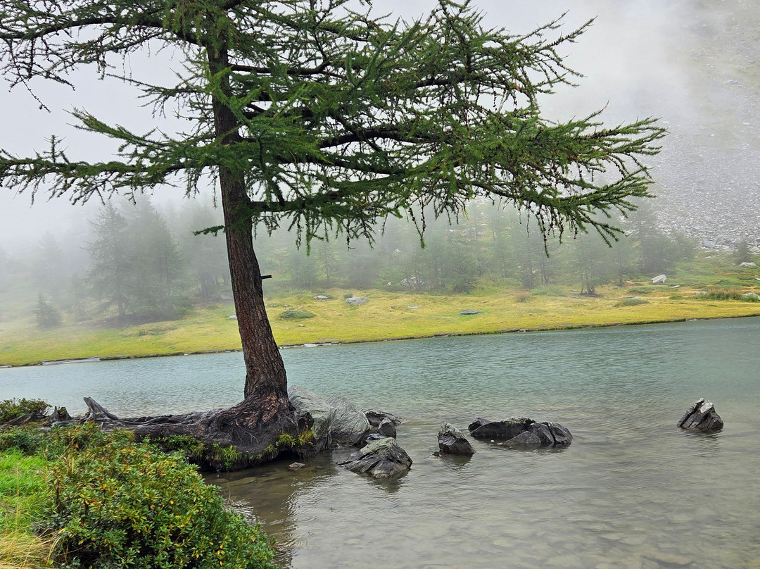 Lago d'Arpy-Morgex必去景点