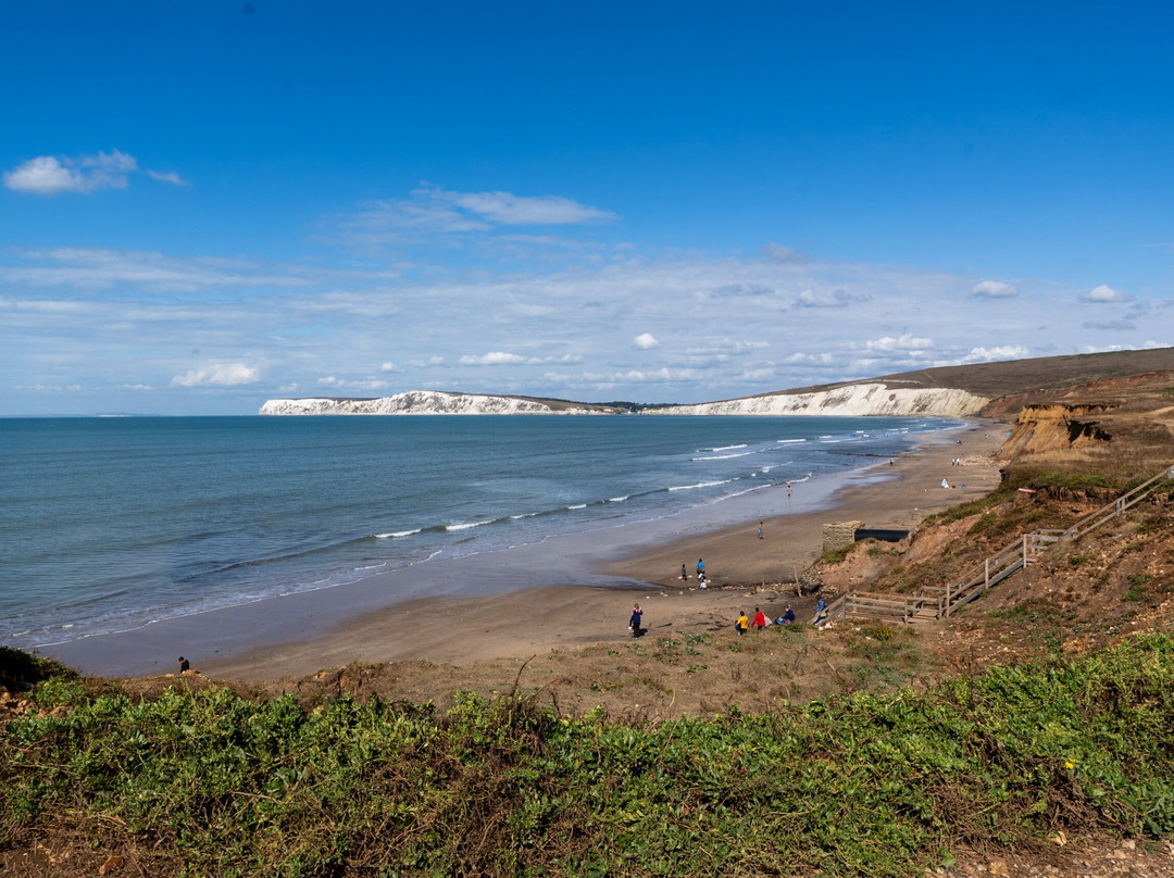 Isle of Wight Fossil Walks- Wight Coast Fossils-文特诺必去景点