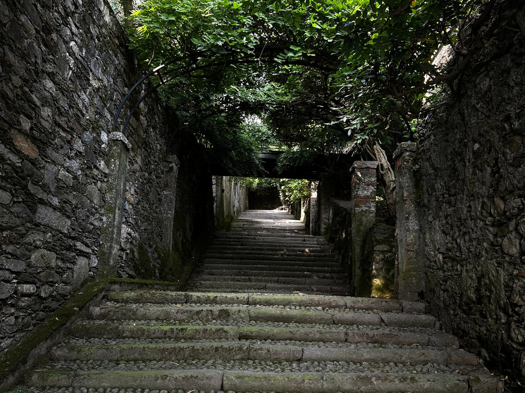 Giardini Botanici dell'Isola Madre-斯特雷萨必去景点