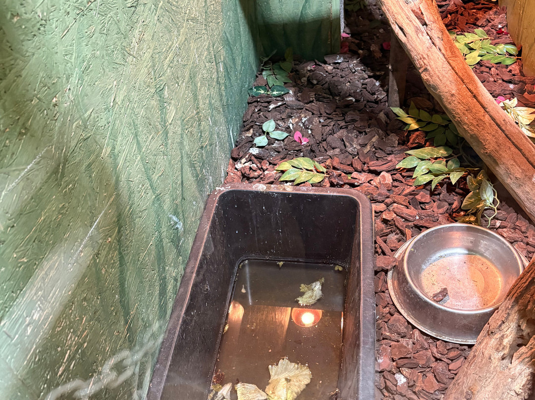 Aquarium Terrarium-克尔克必去景点