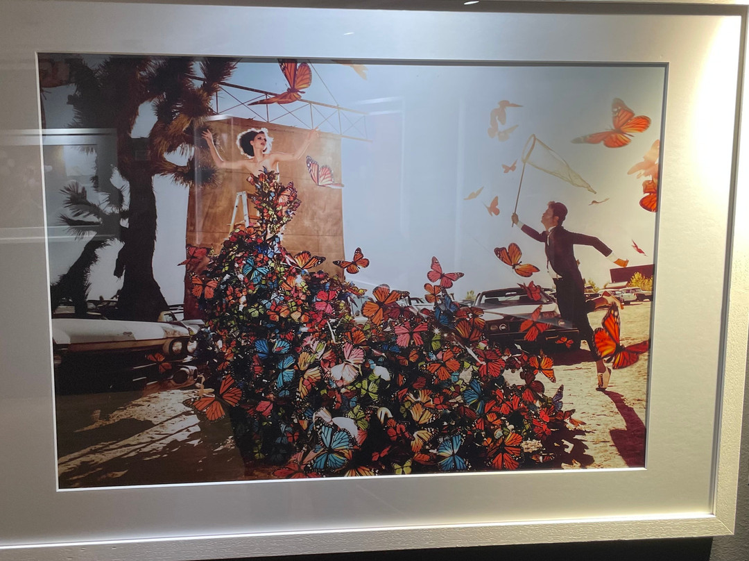 Falsterbo Photo Art Museum-Falsterbo必去景点