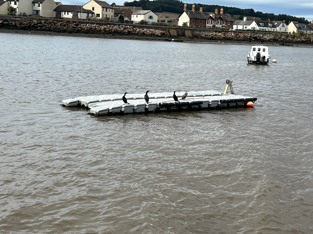 Starcross - Exmouth Ferry-Starcross必去景点