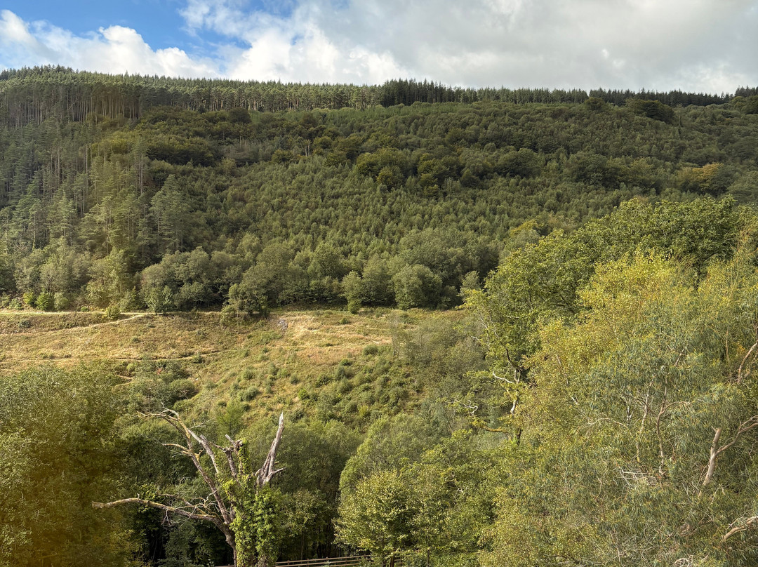 Afan Mountain Lodge主图