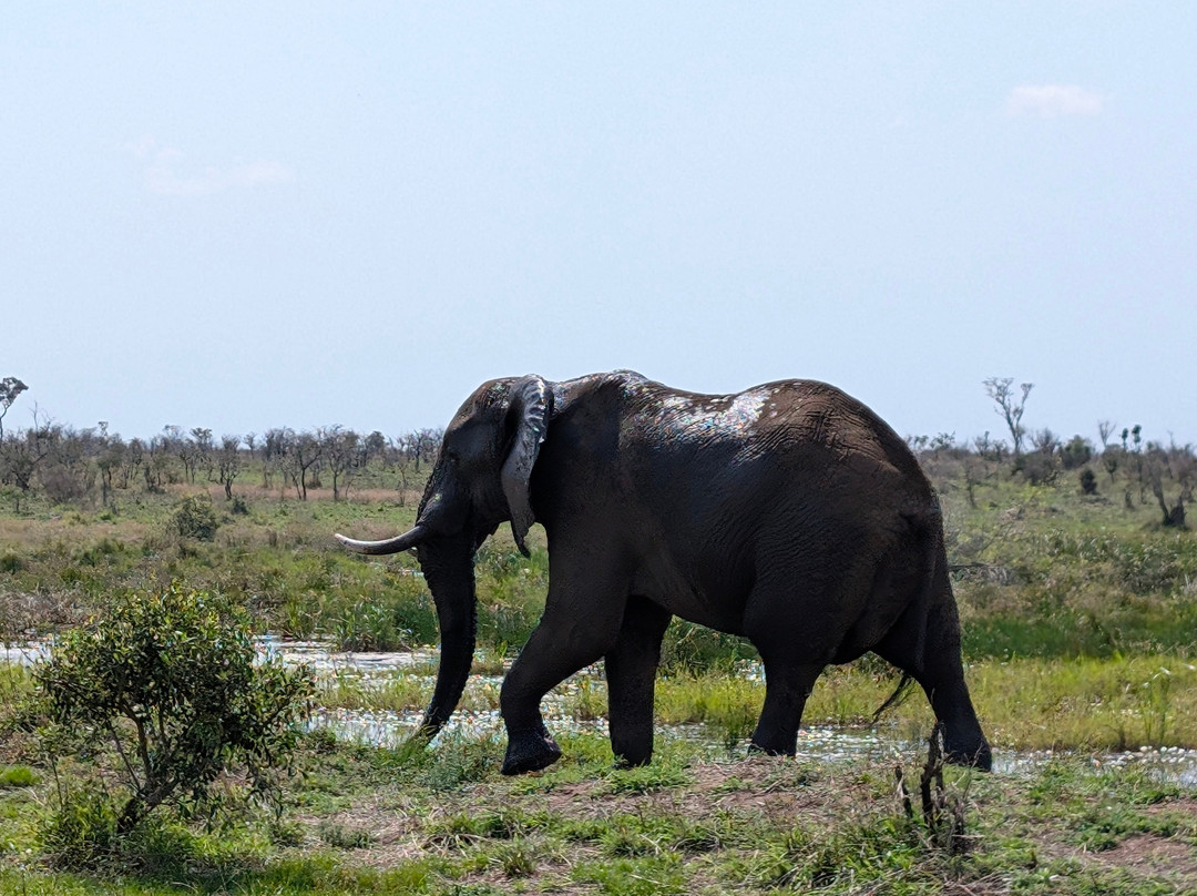 Southern Kruger Safaris-玛洛斯帕克必去景点