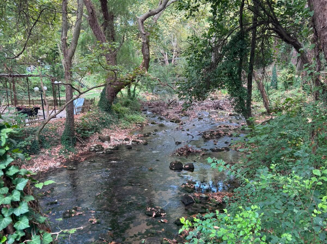 The Cave of river Aggitis-Aggitis必去景点