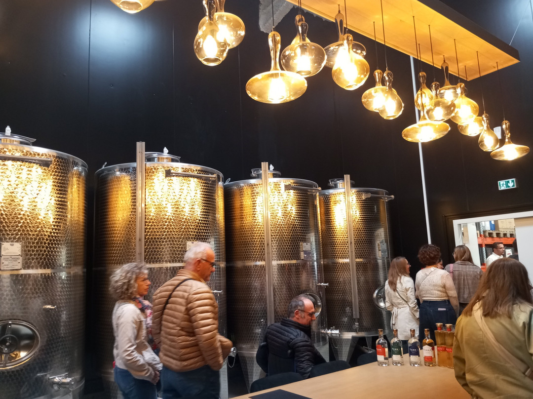 Terra Distillerie - Gin & Vodka Artisanaux-Auchel必去景点