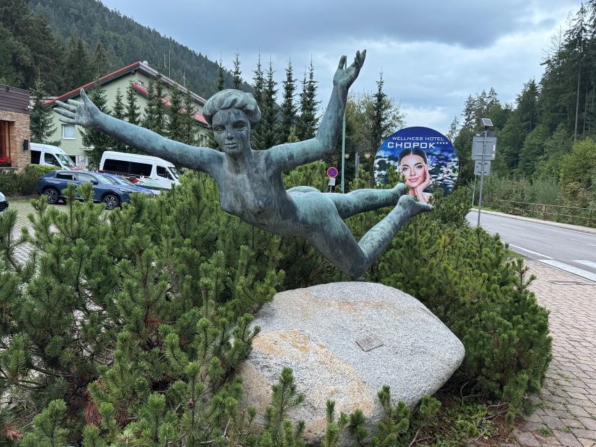 乔泊科健康酒店-旅行者