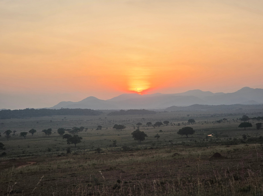 Kigezi Vima Safaris-Kibale National Park必去景点