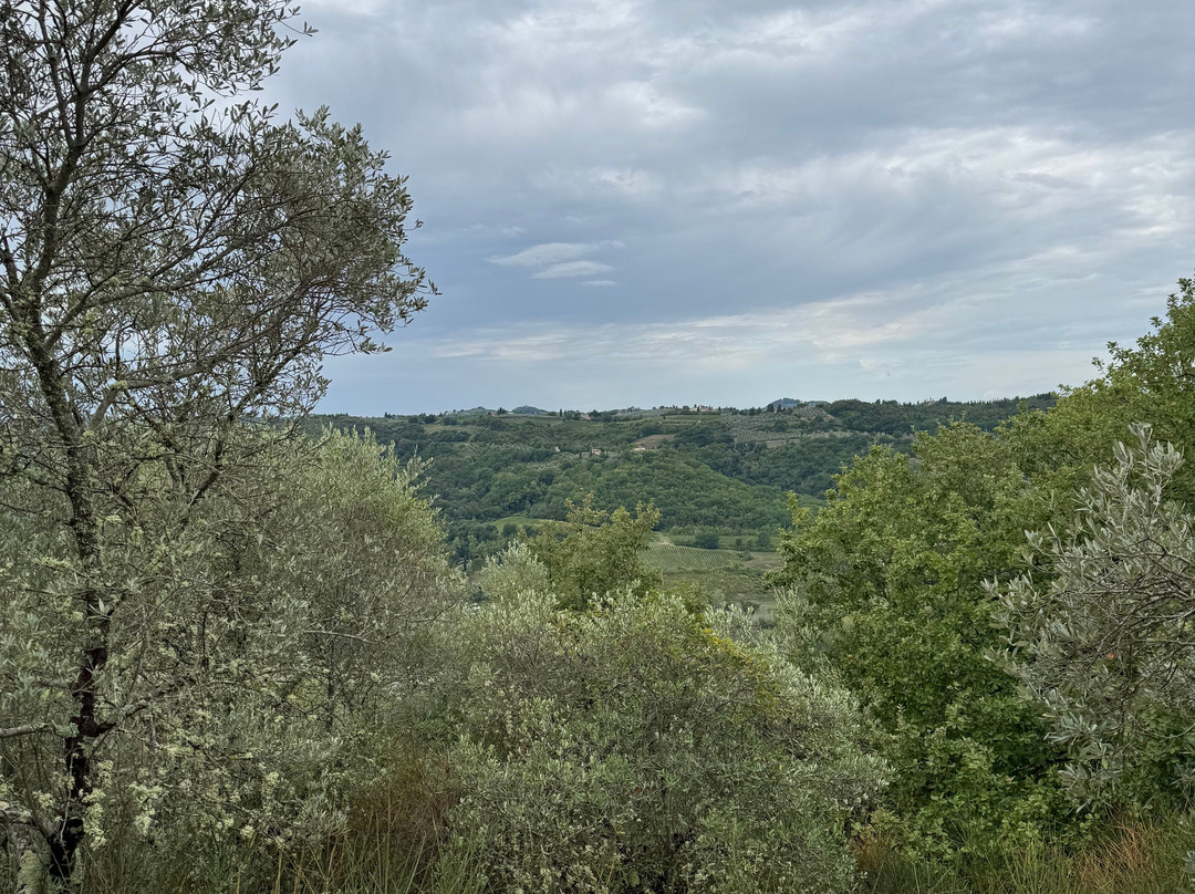 Italy Unfiltered-锡耶纳必去景点