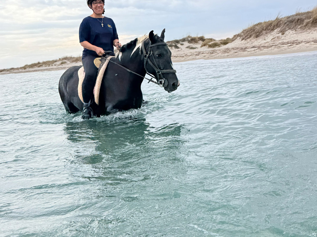 Erika's Horse Farm Kos-Marmari必去景点