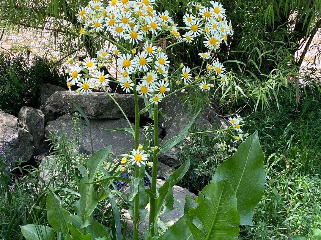 Reserva Natural Monte Blanco-蒂格雷必去景点