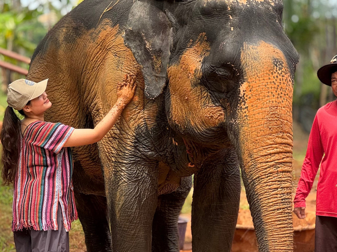 Phuket Elephant Care-奈通必去景点