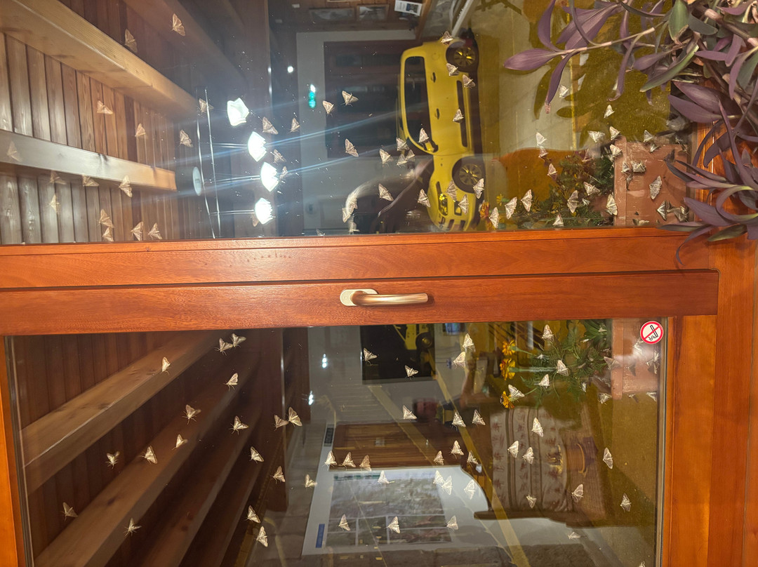 科勒机酒店主图