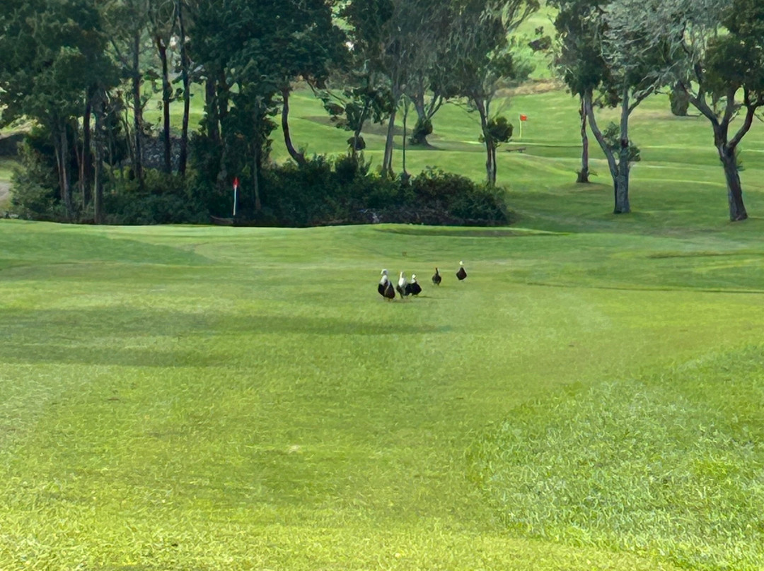 Batalha Golf Course-Ponta Delgada必去景点