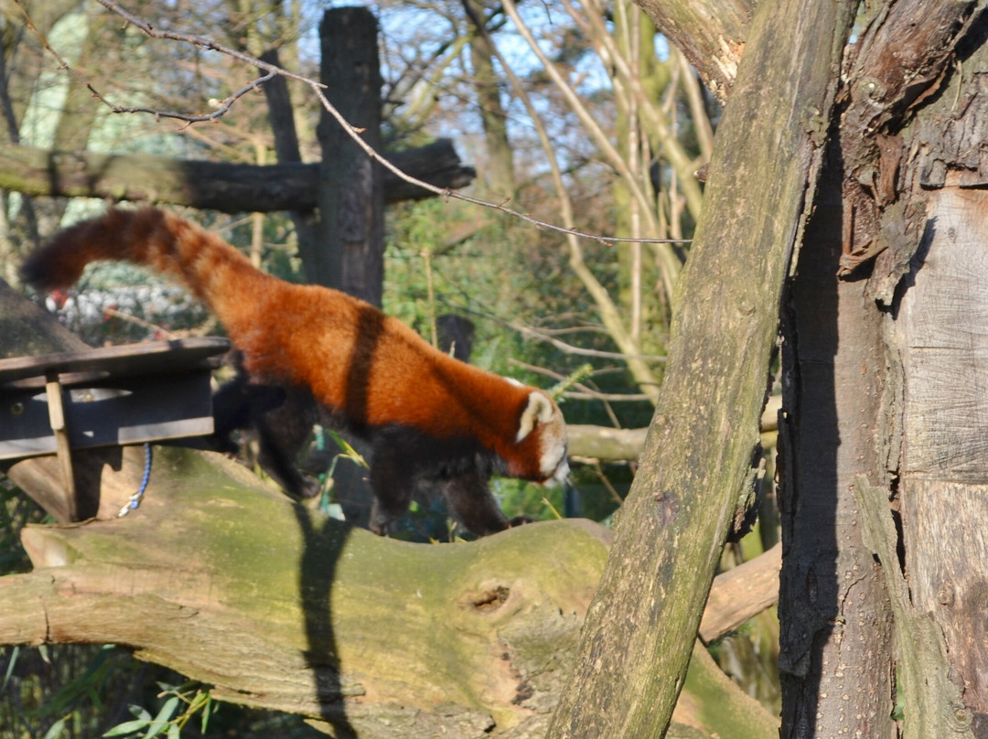 Zoo Duisburg-杜伊斯堡必去景点