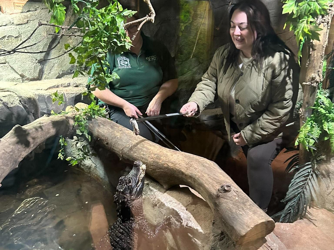 Exotic Zoo Wildlife Park + Natural History & Dino Museum-特尔福德必去景点