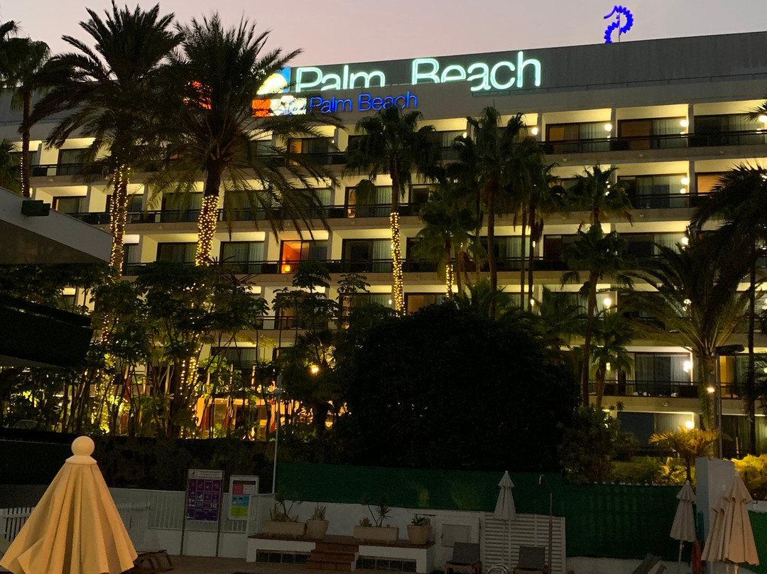 海滨棕榈滩酒店主图