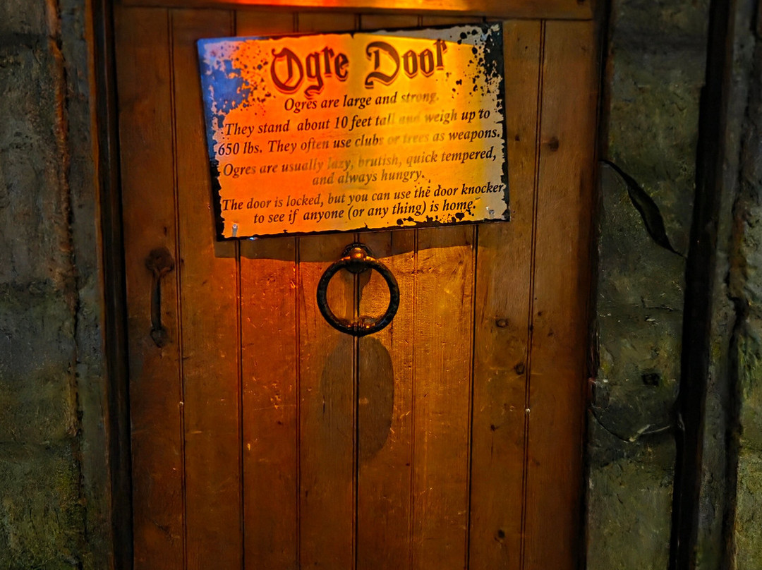 Professor Spindlewink's World Of Wizardry-塞勒姆必去景点