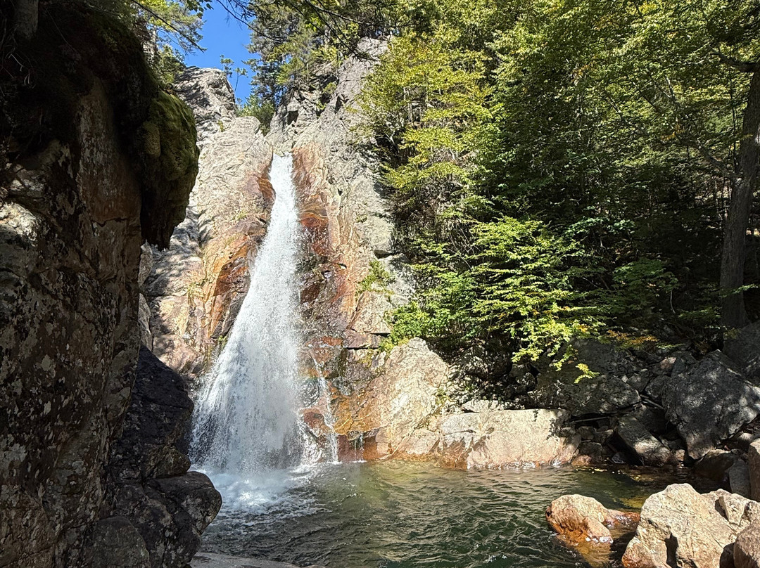 Glen Ellis Falls-杰克逊必去景点
