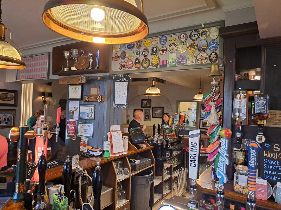 海豹酒店主图