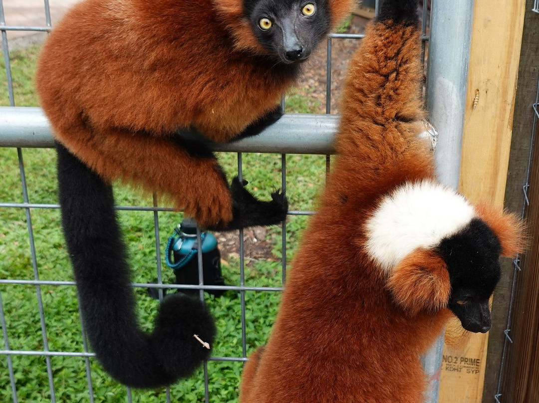 Chase Animal Sanctuary-Webster必去景点