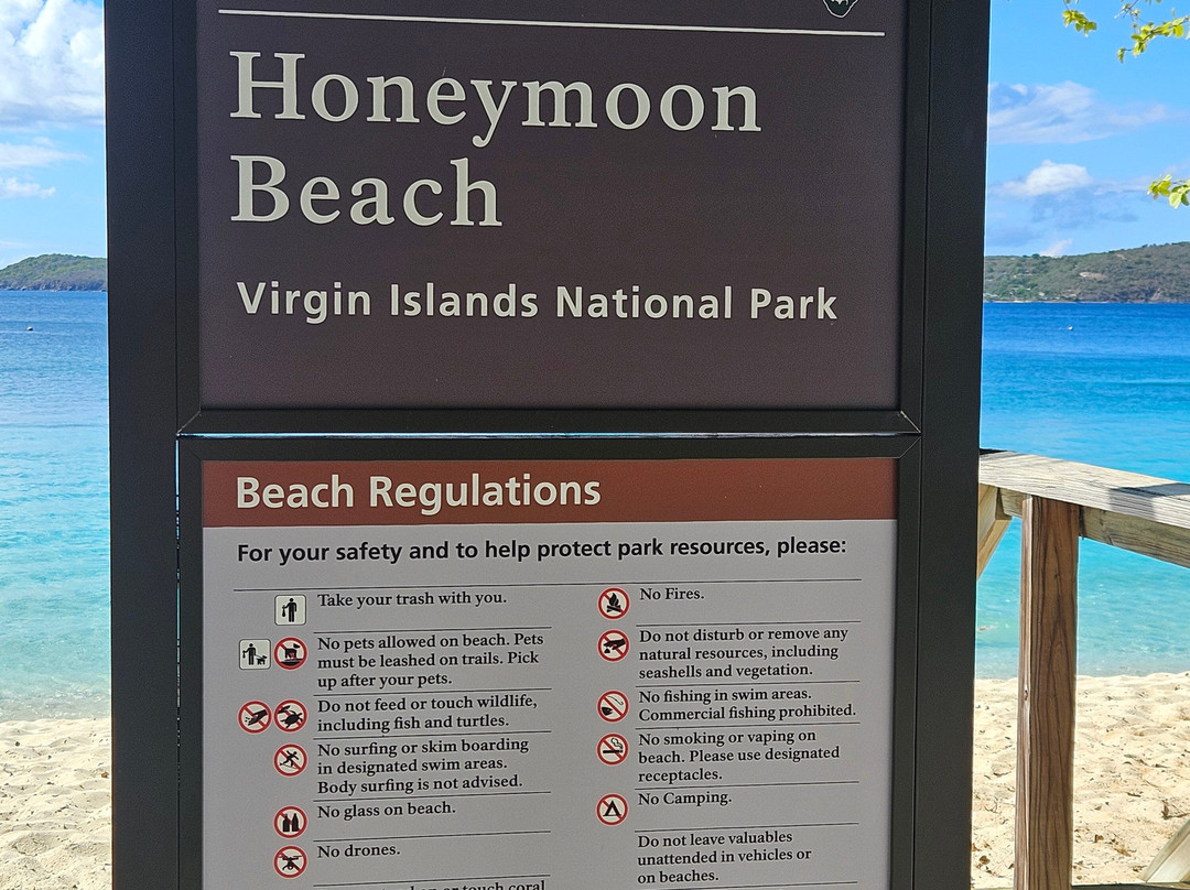 Honeymoon Beach-Caneel Bay必去景点