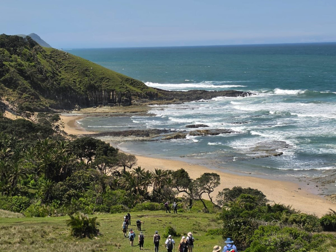 The Wild Walk with Singletrack Adventures-Mbotyi必去景点