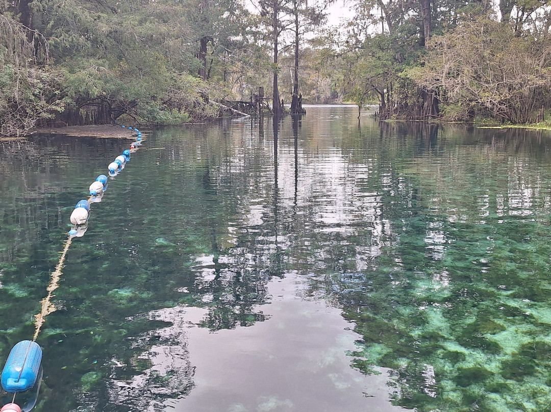 Fanning Springs State Park-Fanning Springs必去景点