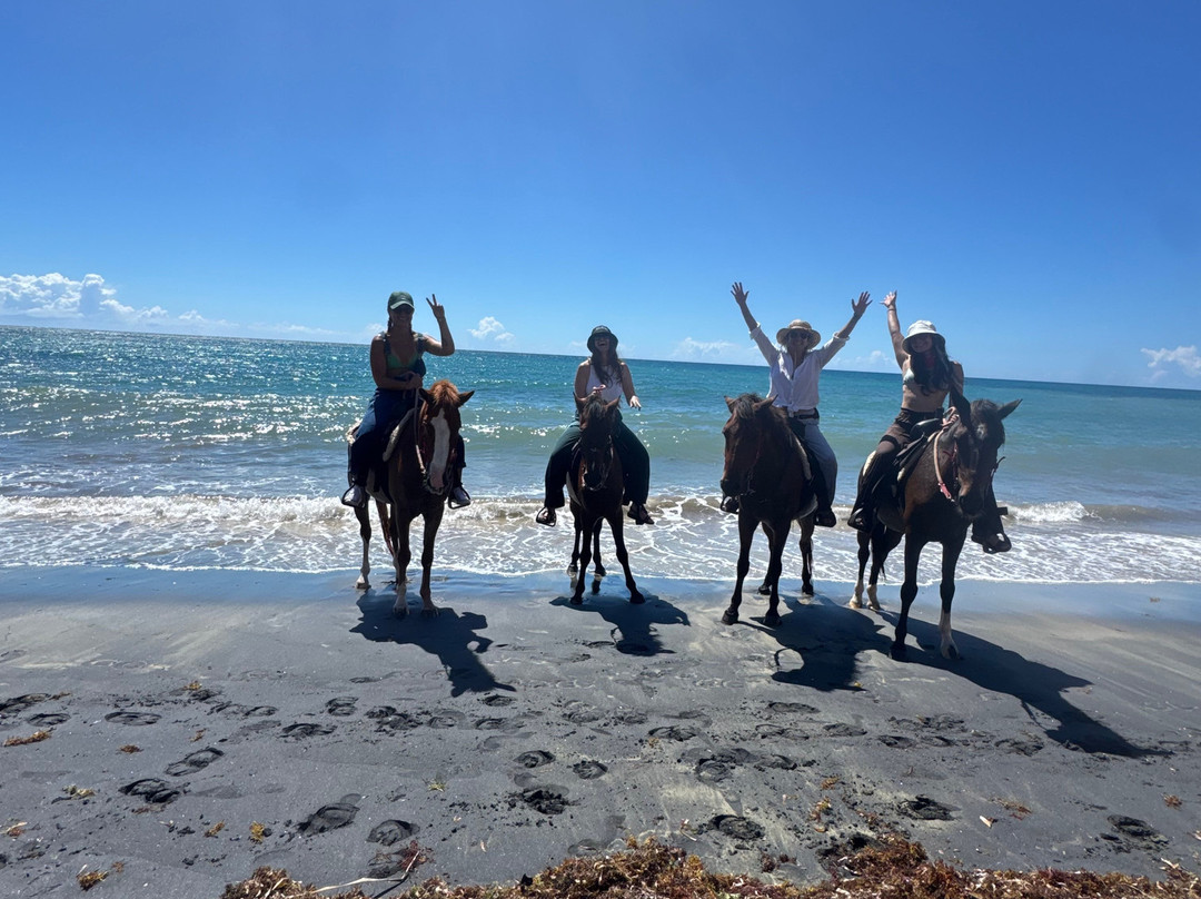 Sailh's Paradise Horse Riding