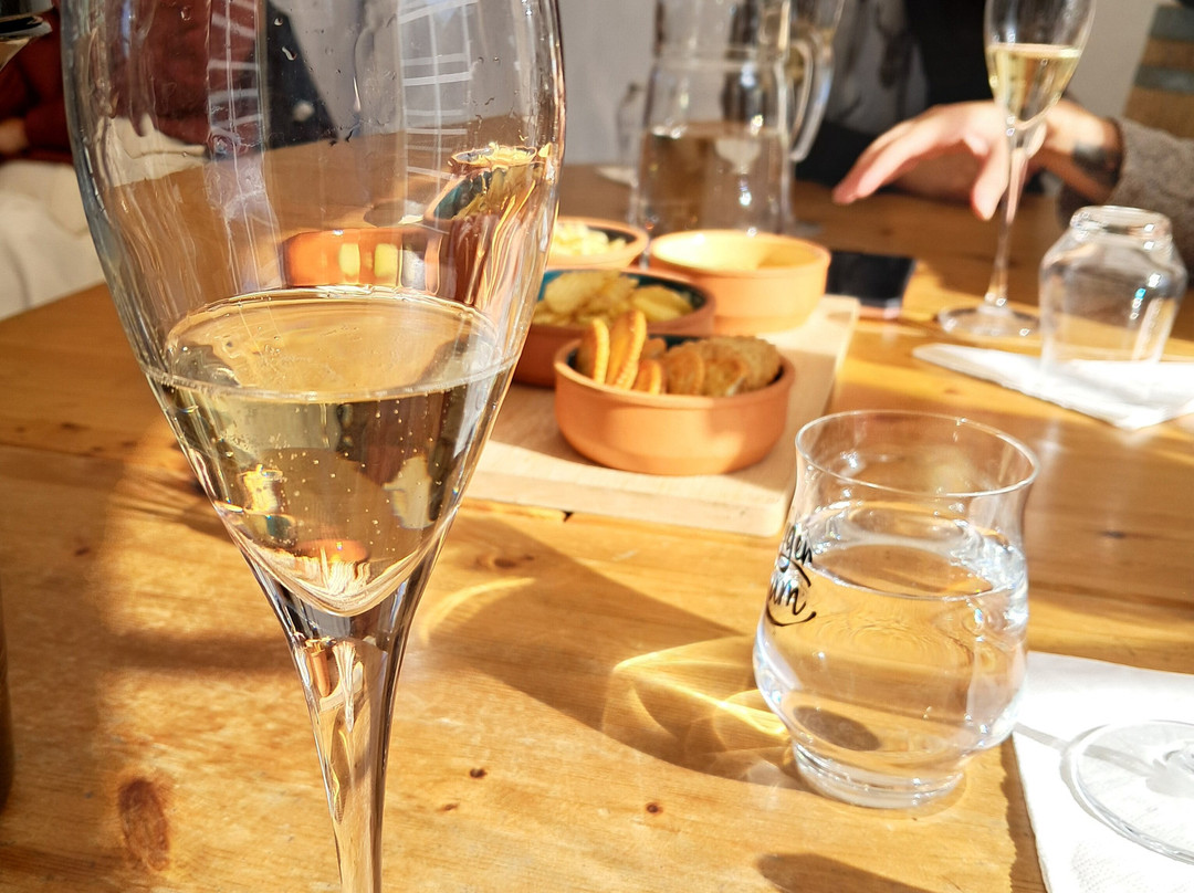 Lyme Bay Winery-Axminster必去景点