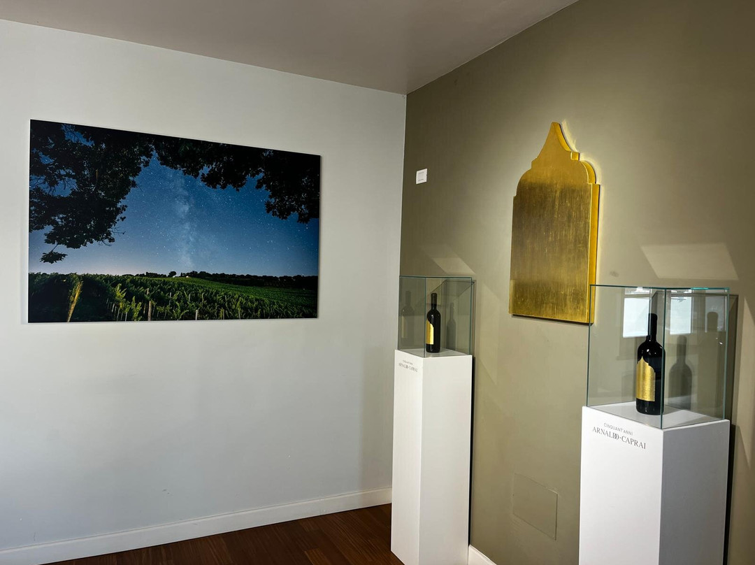 Arnaldo Caprai - Viticoltore in Montefalco-Montefalco必去景点