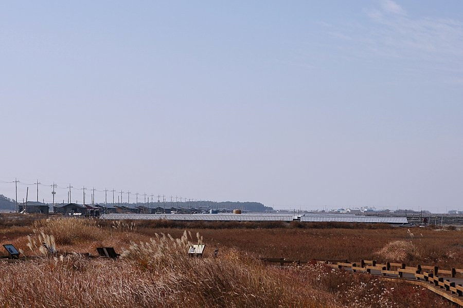 Taepyeong Yeomsaeng Botanical Garden